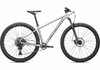 Specialized ROCKHOPPER EXPERT 29 L SILVER DUST/BLACK HOLOGRAPHIC