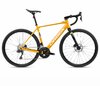 Orbea GAIN D30i M Mango (Gloss) - Black (Matt)