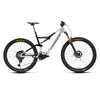 Orbea RISE LT M10 420W L Custom