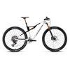 Orbea OIZ M-LTD M Custom