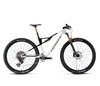 Orbea OIZ M-LTD L Custom